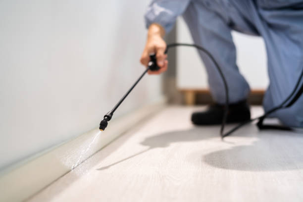 Licensed Pest Control service in Ocala Estates, FL - Show Me Pest Control