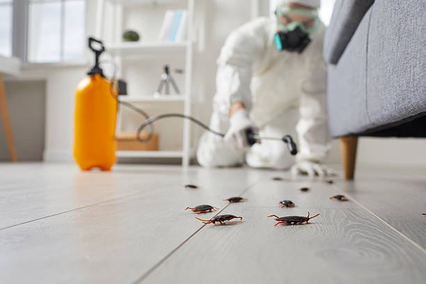 Post-Treatment Bed Bug Interceptor Monitoring in Ocala Estates